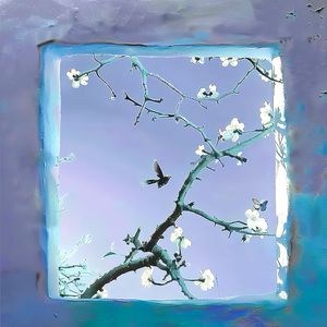 欧美18Vⅰdeos初次摘花
