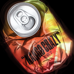 欧美18Vⅰdeos初次摘花
