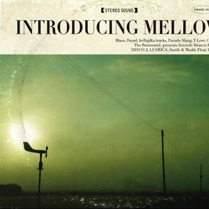 欧美18Vⅰdeos初次摘花
